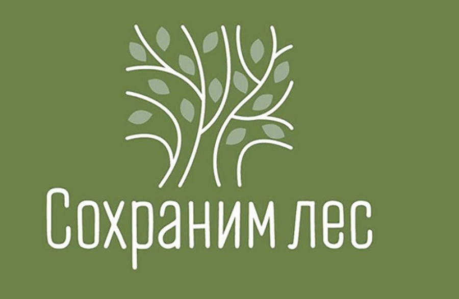 О Всероссийской акции «Сохраним лес».