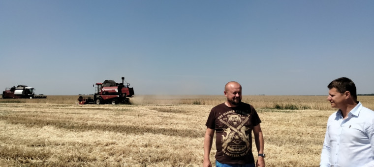 Дан отсчет началу уборочной кампании в Ровенском районе.. Дан отсчет началу уборочной кампании в Ровенском районе..