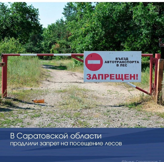 В Саратовской области продлены ограничения пребывания граждан в лесах.. В Саратовской области продлены ограничения пребывания граждан в лесах..